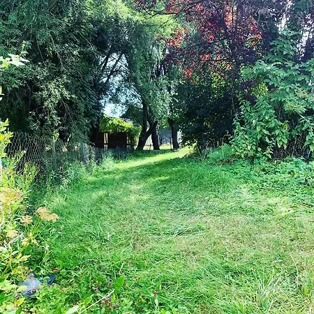 Idylle Au Bord De L'eau