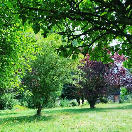 Idylle Au Bord De L'eau *